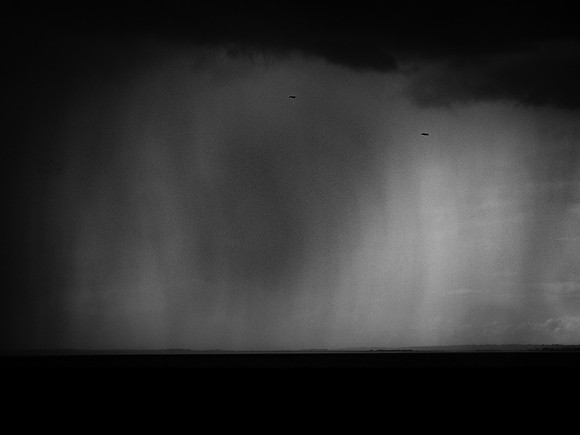 310817-15