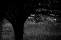 2013-09-30v2-268