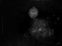 luna 7-10