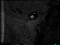 luna 8-22
