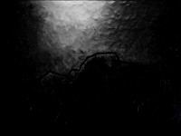 luna 6-19