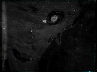 luna 8-16