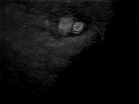 luna 8-17
