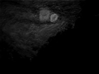 luna 8-20