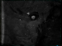 luna 8-21