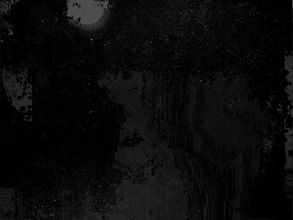 luna 10-445