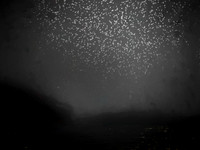 VITRO-002