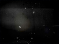 VITRO-006