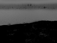 VITRO-009