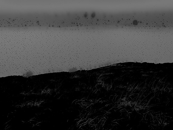 VITRO-009
