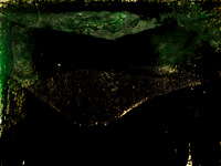 VITRO-015
