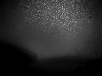 VITRO_2-002
