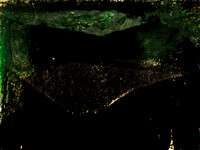 VITRO_2-010