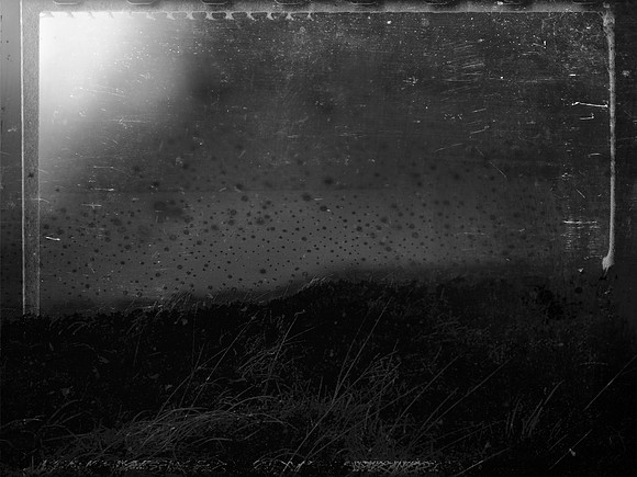 VITRO_2-016