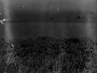 VITRO_2-017