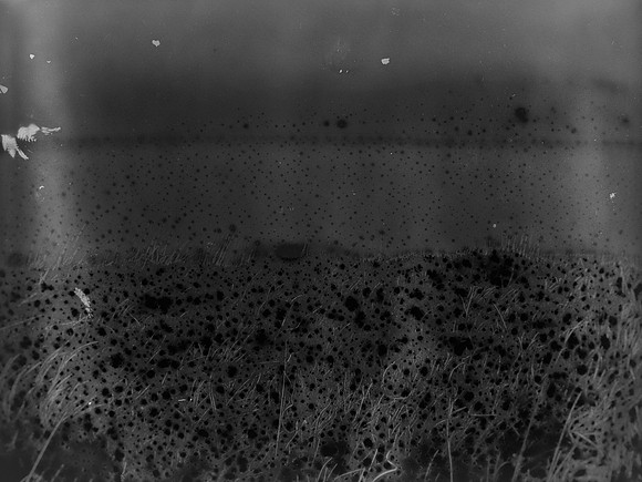 VITRO_2-017