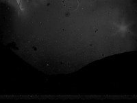 VITRO_5-08