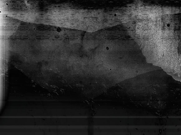 VITRO_5-12