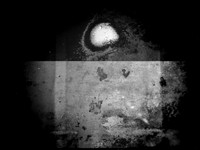 luna 1-36