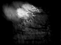 IMG_5583-Edit