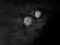 IMG_7531-Edit