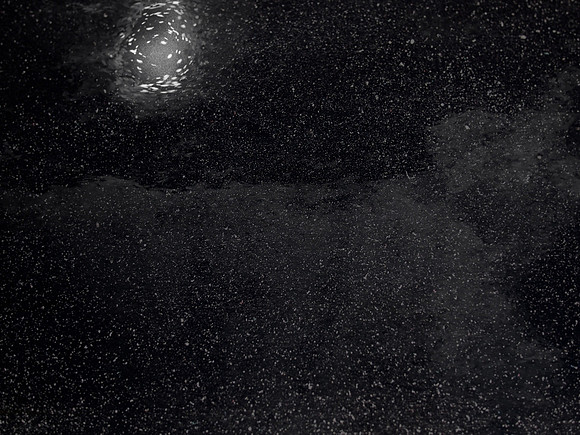 luna 3-229