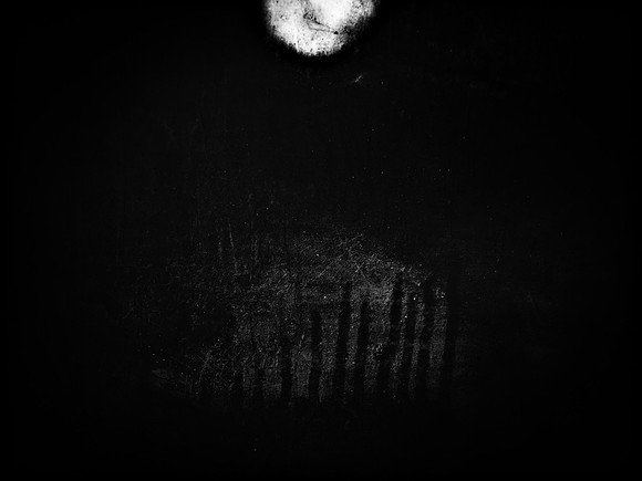 luna 1-564