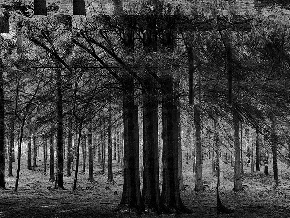 4-48
