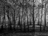 8-45