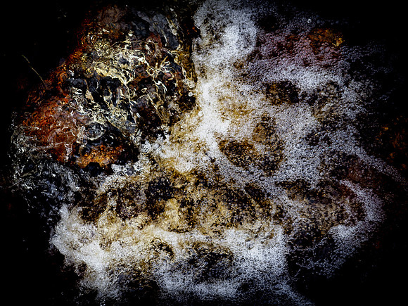 290717-113