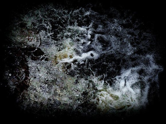 290717-710