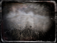 011017-16
