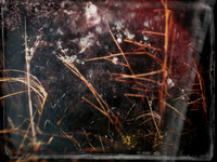 011017-12