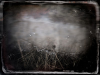 011017-15