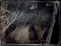 011017-4