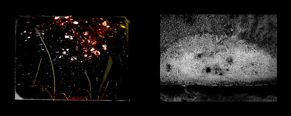 tracks-33