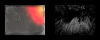 tracks-4