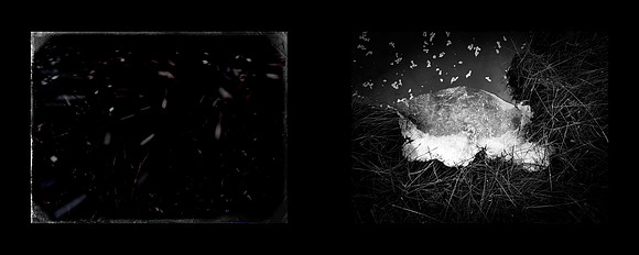 tracks-95