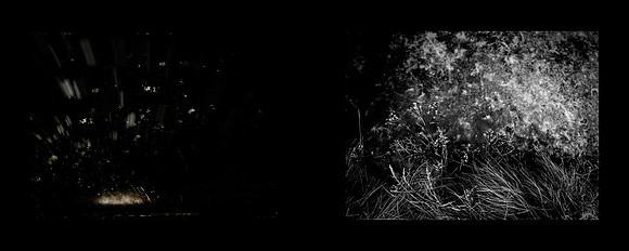 tracks-99