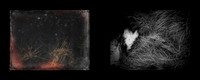 tracks-12