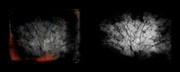 tracks-18