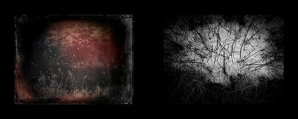 tracks-19