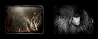 tracks-13