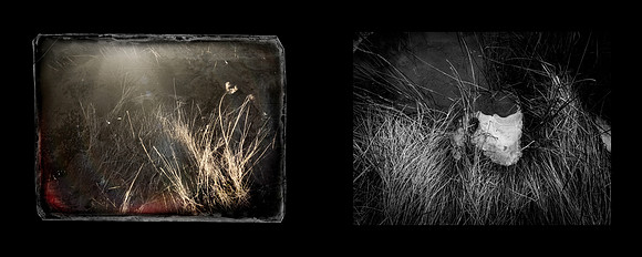 tracks-13
