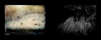 tracks-5