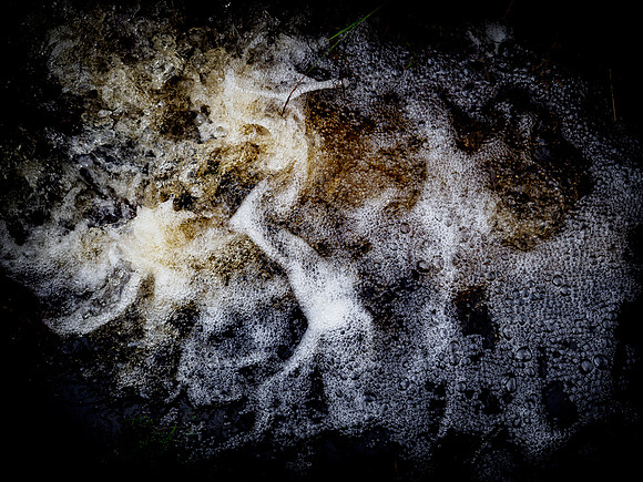 290717-72
