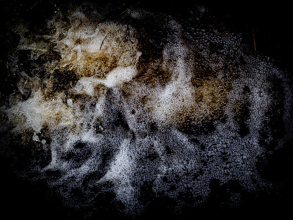 290717-70