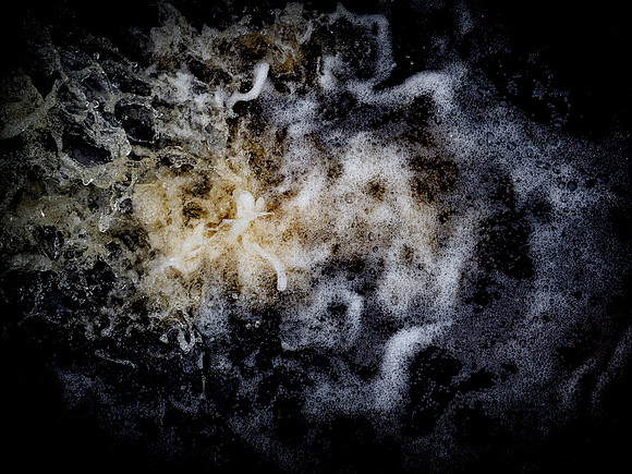 290717-84