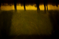 into the woods 2
