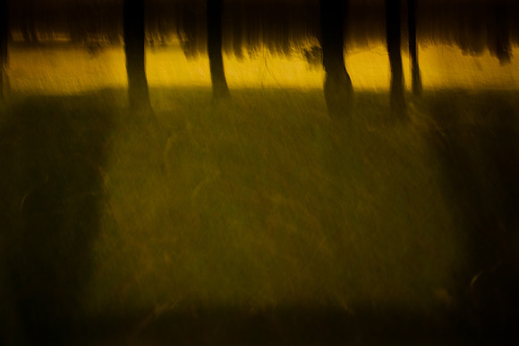 into the woods 2